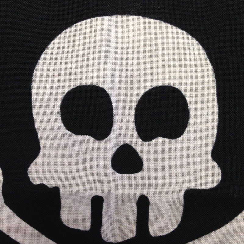 Jolly Roger Pirate Flag - Skull & Crossbones