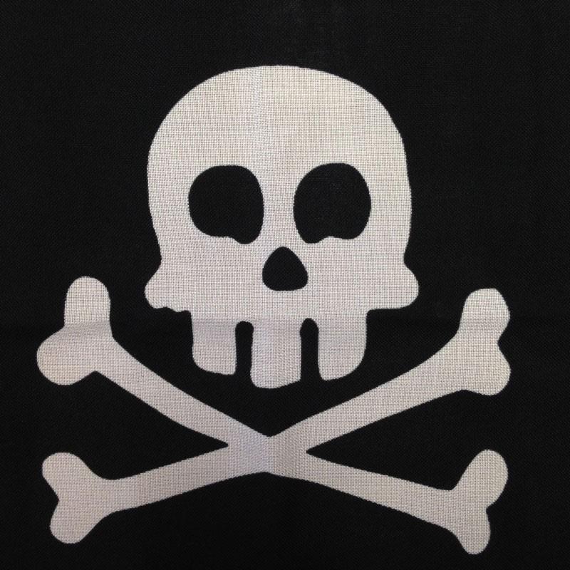 Jolly Roger Pirate Flag - Skull & Crossbones