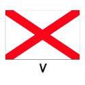 V Signal Code Flag